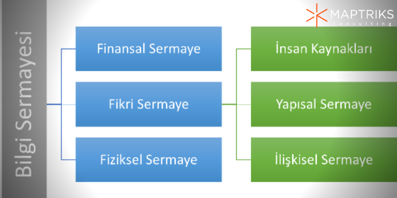 bilgi sermayesi ilişkisel sermaye ve GIS veriyi bilgiye dönüştürme yolları
