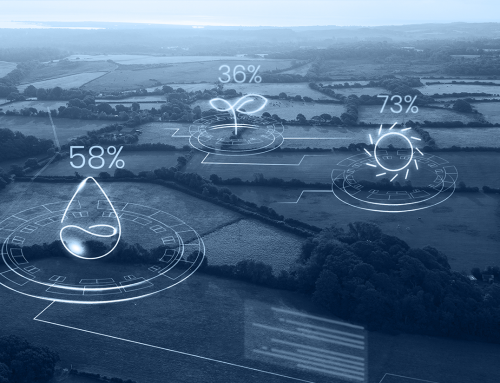 BM’nin Sürdürülebilirlik Hedeflerine Ulaşmada Mekânsal Veri Nasıl Kullanılır?